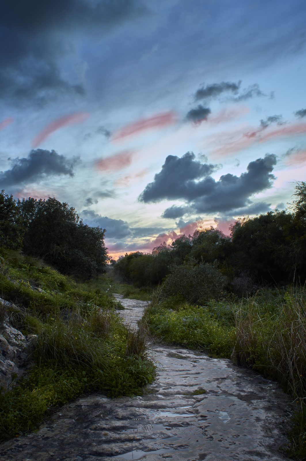 A wet path through the green Mosta valley after rain