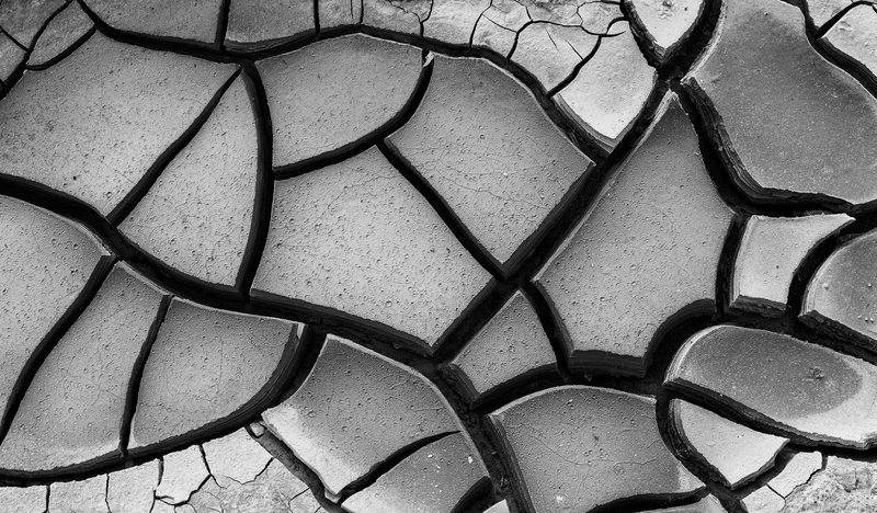 Dried mud cracked into plates, black and white texture study
