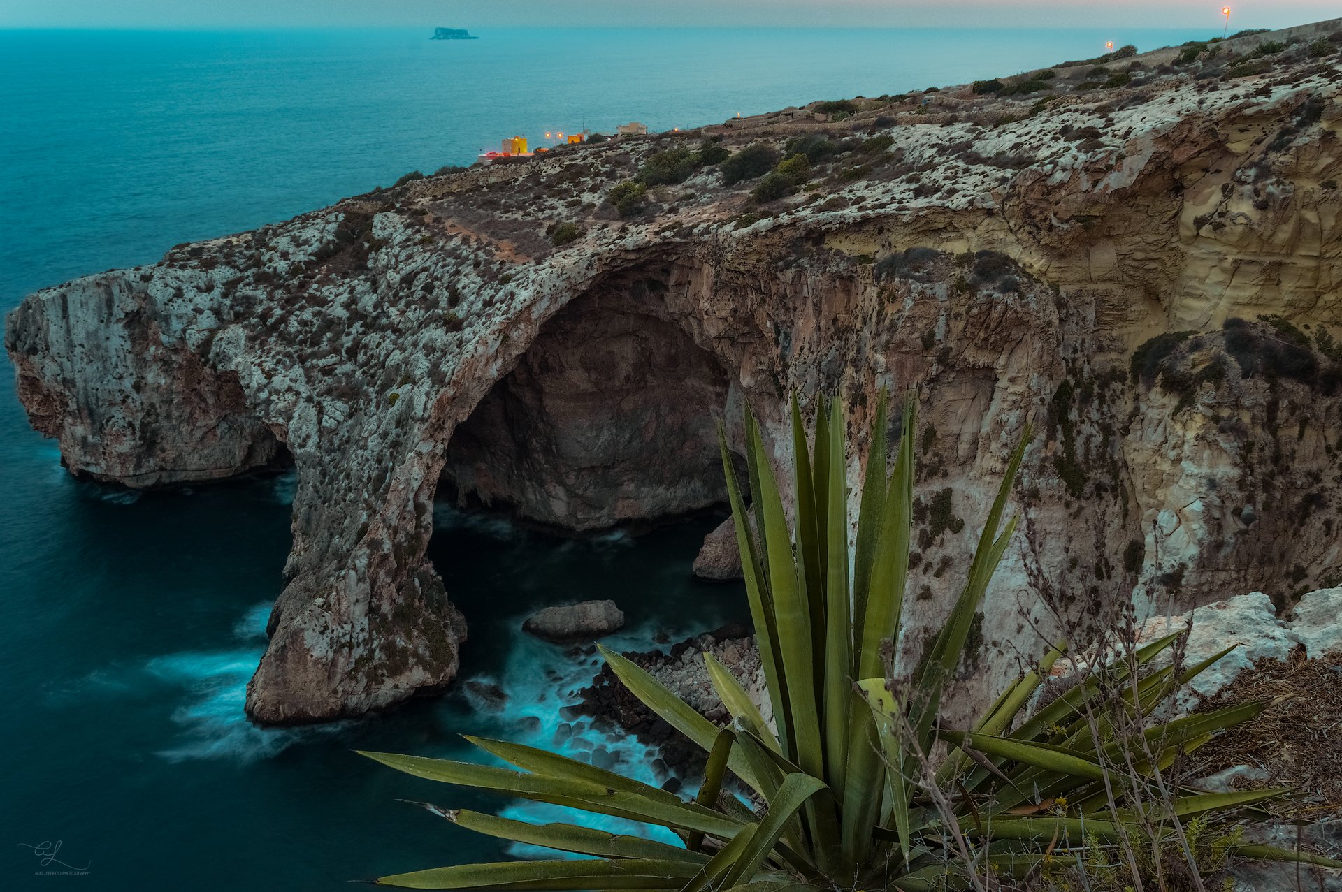 The Blue Grotto arch at dusk with an agave in the foreground, Malta